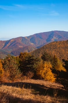 autumn landscape on sunny day, Cindrel mountains, Sibiu county, Romania