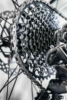 Bicycle rear wheel with detail of the gear system