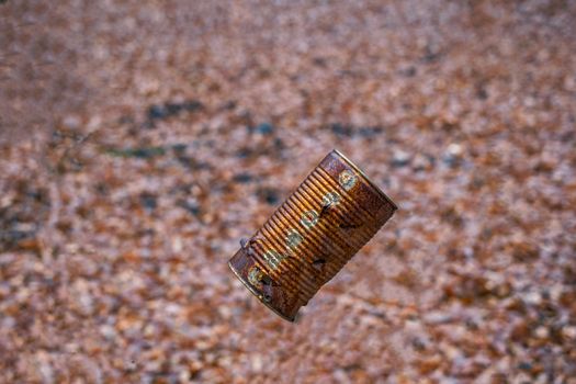 canned rusty box with autumn on the background