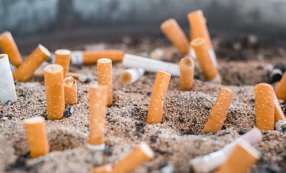 cigarette butts in the sand