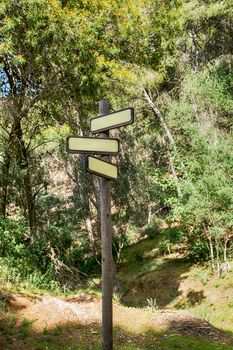 Direction indicator table in the forest