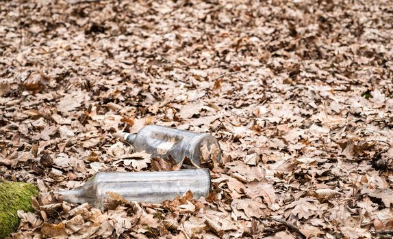 Empty Drink bottles thrown into the woods