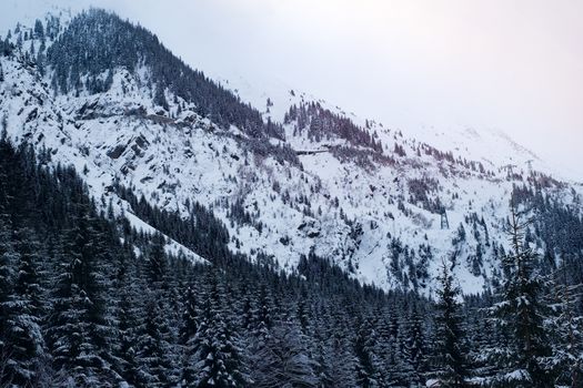 Forests and ridges covered with snow, Fagaras mountains, Balea waterfall, Romania