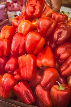 fresh red pepper to the market