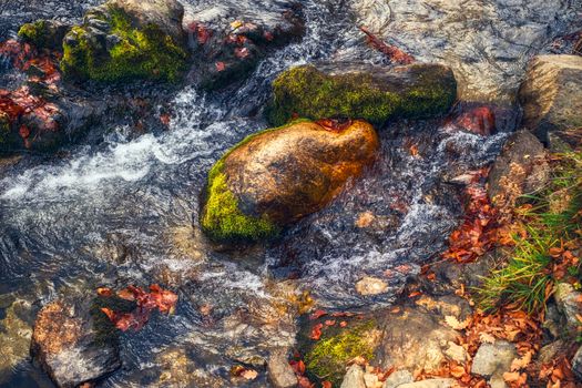 Flowing water with stones with muscles and dry leaves