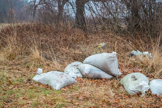heaps of garbage bags thrown out in the woods