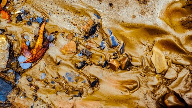 golden sand with blue stone and autumn leaves