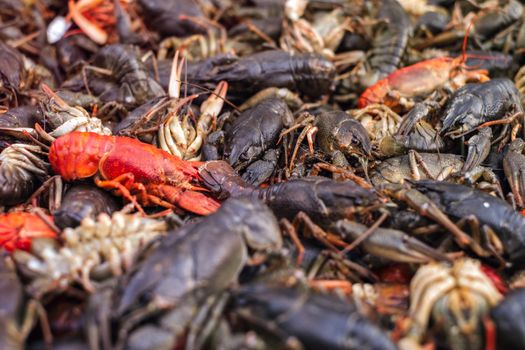 live fresh crayfish at the market stall