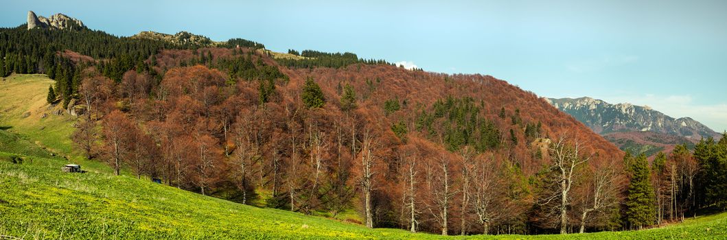 Spring and autumn colors. Bratocei Rocks, Sphinx, Fangs, Ciucas mountains, Romania. 1720m