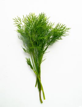 A bunch of fresh dill grass, isolated on a white background, vertical.