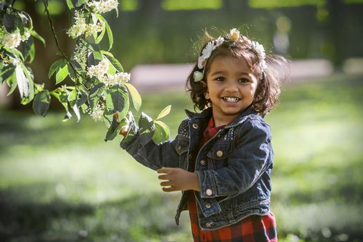 A two years old girl in park at a blooming branch of bird cherry tree