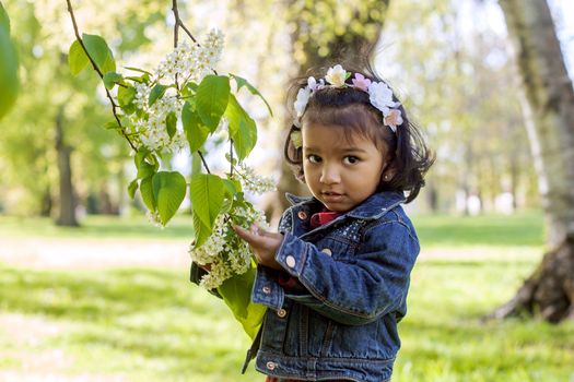 A south asian little girl in park at a blooming branch of bird cherry tree