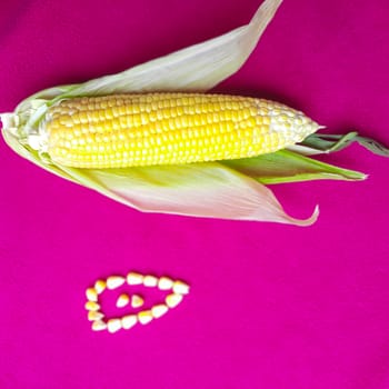 Sweetcorn with seeds beautifully placed in pink background