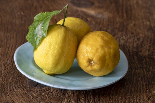 closeup of a amalfi lemon