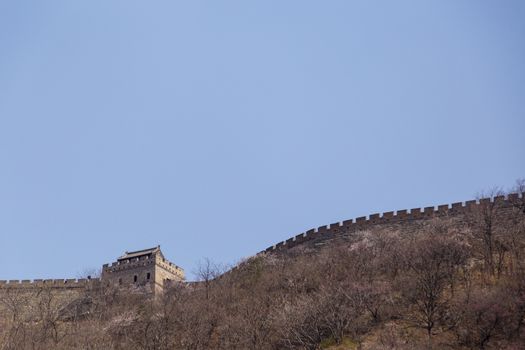 Beijing, China - CIRCA 2020: Great Wall of China in a green forest landscape at Mutianyu in Huairou District near Beijing, China. Autumn view of Grate Wall of China