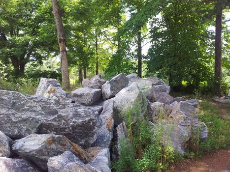 Large stones or rock settled in between green trees in a public park