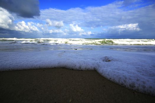 Bubbles and shells on the beach.