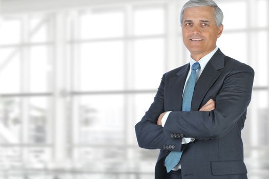 Portrait of smiling senior businessman standing against office window background while looking at camera.
