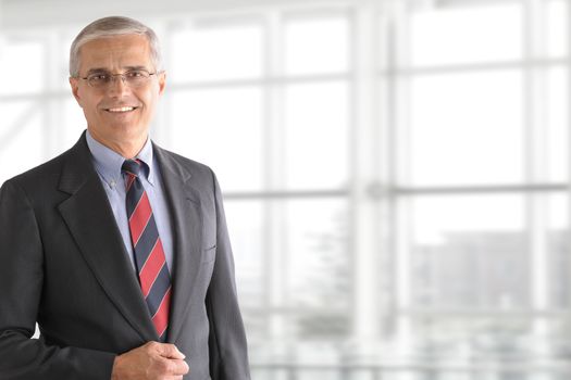 Portrait of a mature businessman standing in front of a large modern office window. The man is smiling and set ot the left side leaving room for copy.