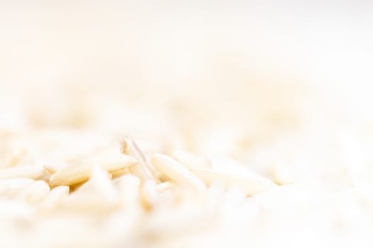 Extreme macro close-up of white jasmine rice on wooden spoon. Creative food concept.