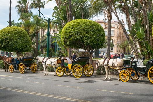 Malaga, Spain - March 23, 2018. exotic tourist transport in carriage with horse in Malaga city, Spain