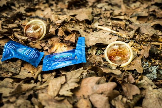 Sibiu, Romania - April 20, 2019. a used condom speckled with blood near the pack threw in the autumn forest, polluted the nature