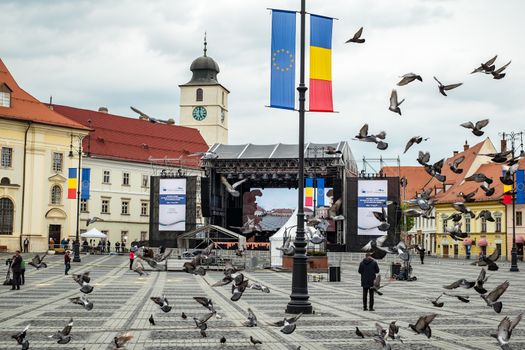 Sibiu City, Romania - 9 May 2019. Pigeons fly in the big square of the European Union day. Informal meeting of heads of state or government 2019 in Big Square  Sibiu, Romania