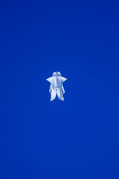 The Balinese white kite flies against the blue sky. Blue sky is the perfect background for kites. space for your text..