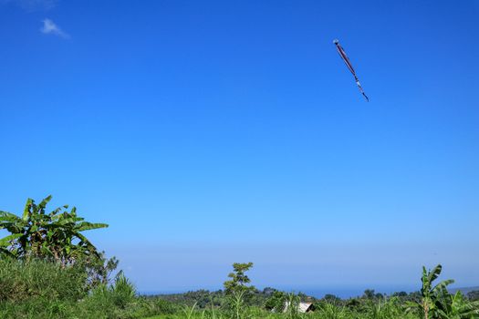 kite long tailfly on blue sky. The colorful kite on the blue sky with clouds.