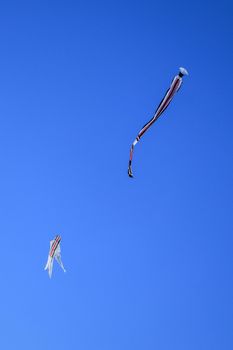 Traditional balinese Kite. kite long tailfly on blue sky. The colorful kite on the blue sky without clouds.