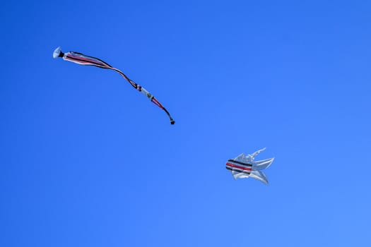 Traditional balinese Kite. kite long tailfly on blue sky. The colorful kite on the blue sky without clouds.