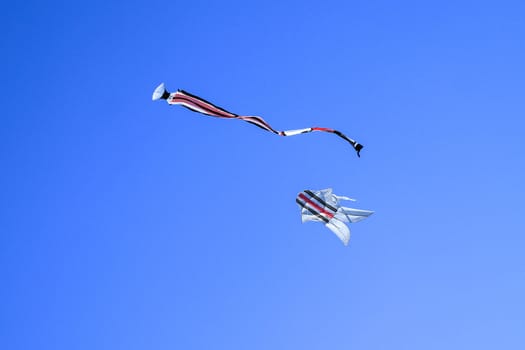 Traditional balinese Kite. kite long tailfly on blue sky. The colorful kite on the blue sky without clouds.
