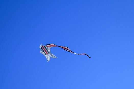 kite long tailfly on blue sky. The colorful kite on the blue sky without clouds. Space for text.