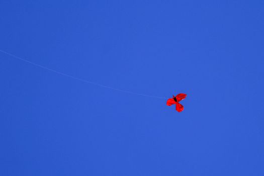 Kite on background of dark blue sky. Red kite on dark blue sky. Space for your text.