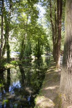 river of Scheggino province of Perugia on a sunny day