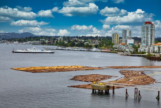 Logs in Harbor of Nanaimo, British Columbia being readied to ship down river