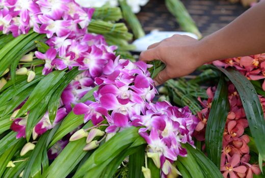 A woman's hand holding a bouquet of fresh pink and white orchid flowers