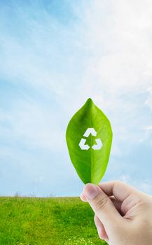 Fresh green leaf in hand with recycle symbol on nature background