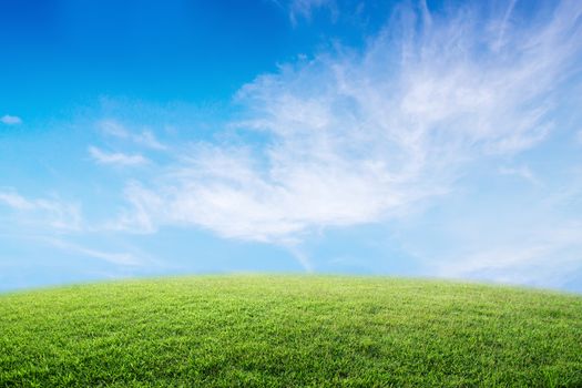 Background image of lush grass field under blue sky and bright.