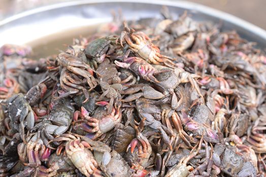 Top view of salted crab on the market at Thailand, preserved crab with salt for sale.