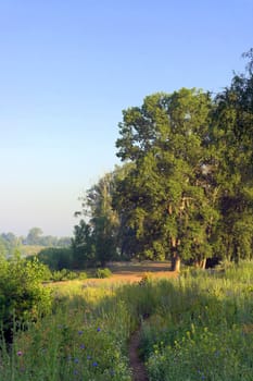 Beautiful summer landscape with river and forest