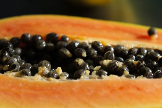 Carica papaya, Carica papayas, papaya fruit, papaw, pawpaw.