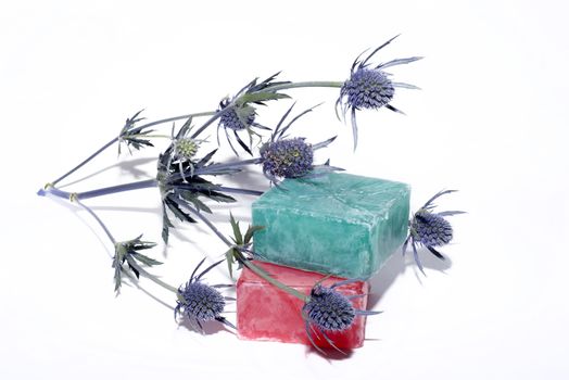 soaps off various shades with a beautiful lavender flower