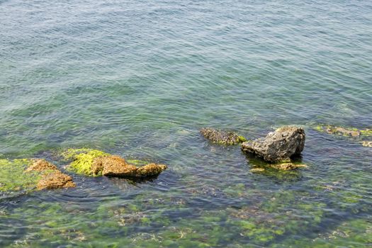 sea water and rocks in nature