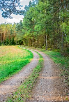 Path along grassland and lush green trees