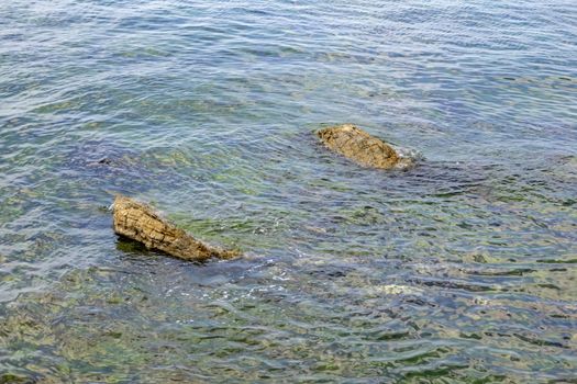 sea water and rocks in nature