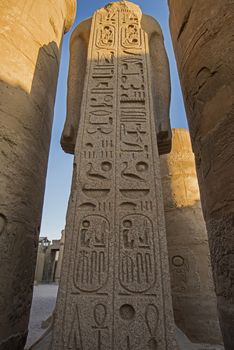 Columns with hieroglyphic carvings in ancient egyptian Luxor Temple