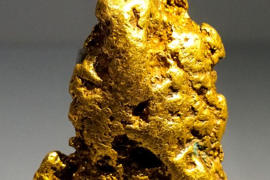 Golden nuggets in the museum. Gold in nuggets.