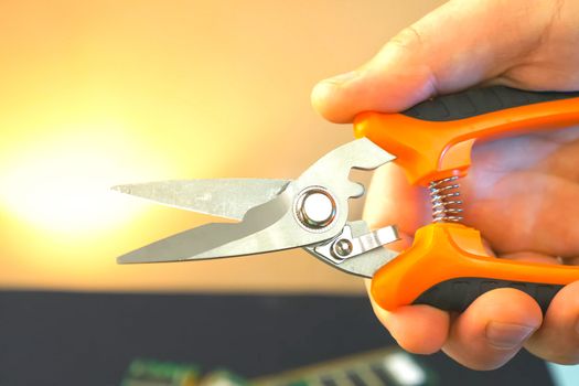 Orange secateur in hand. Scissors for cutting sturdy metherials.