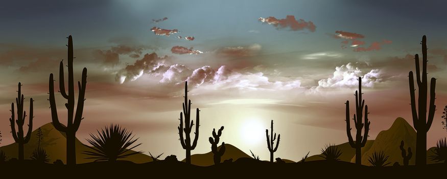 Sunset in the Mexican desert. Sun and clouds. Silhouettes of stones, cacti and plants. Evening landscape with cacti. Stony desert.